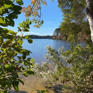 Meet your Posher, Lissette